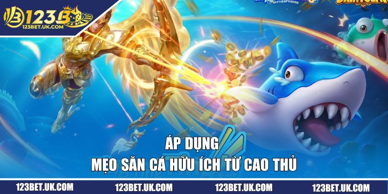 Áp dụng mẹo săn cá hữu ích