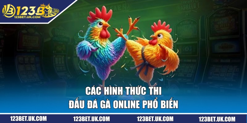 Đá Gà Online - Cập Nhật Các Trận Chiến Tại Bồ Gà 123BET 3 Các hình thức thi đấu đá gà online phổ biến
