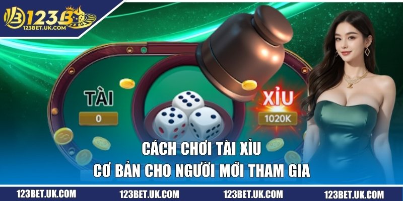 Tài Xỉu Đổi Thưởng - Kinh Nghiệm Bắt Kèo Chuẩn Mỗi Ngày 2 Cách chơi tài xỉu cơ bản cho người mới tham gia