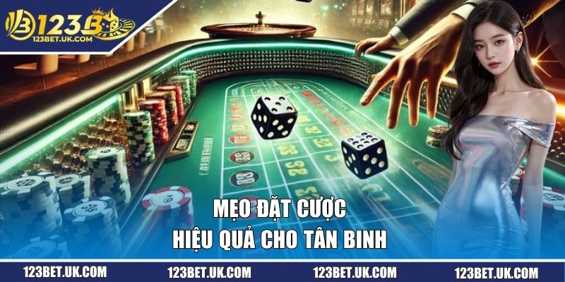 Tài Xỉu Đổi Thưởng - Kinh Nghiệm Bắt Kèo Chuẩn Mỗi Ngày 3 Mẹo đặt cược hiệu quả cho newbie