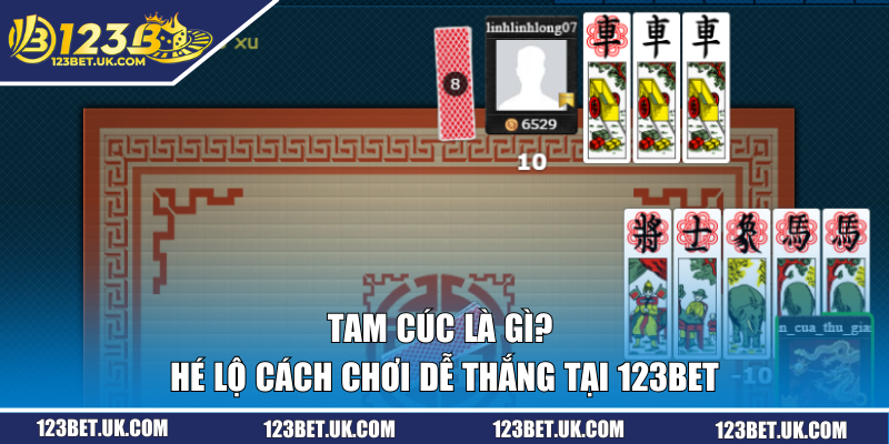 tam cuc la gi thumb