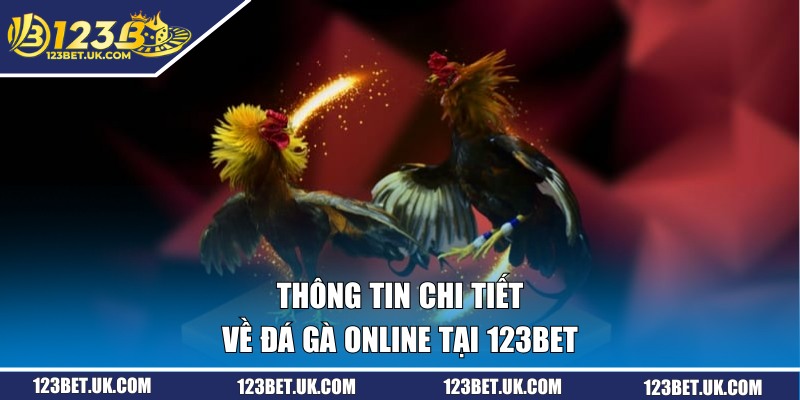 Đá Gà Online - Cập Nhật Các Trận Chiến Tại Bồ Gà 123BET 1 Thông tin chi tiết về đá gà online tại 123BET